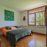 Villa Oak Windows & Wood