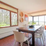 Oak Windows & Wood