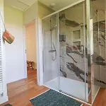 Oak Windows & Wood Albi