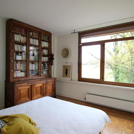 Green Oak Windows & Wood Villa Albi