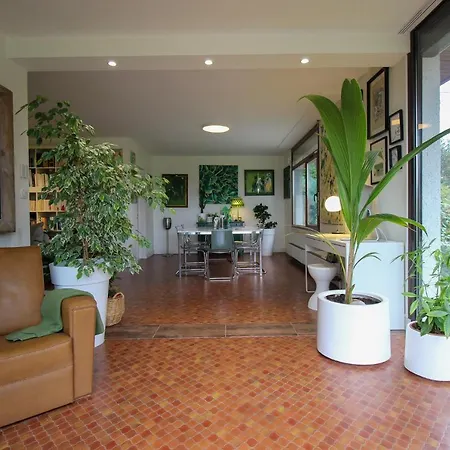 Green Oak Windows & Wood Villa *