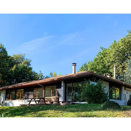 Villa Green Oak Windows & Wood *