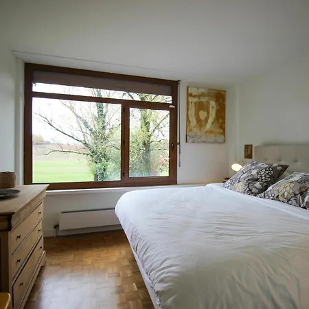 Green Oak Windows & Wood * Albi