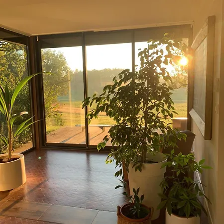 Green Oak Windows & Wood Villa *