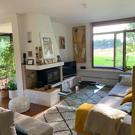 Villa Green Oak Windows & Wood