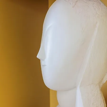 Oak Windows & Wood * Albi