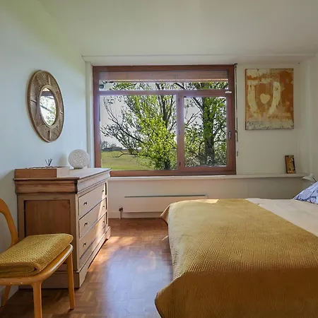 Green Oak Windows & Wood Albi