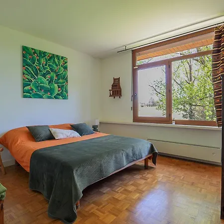 Villa Green Oak Windows & Wood