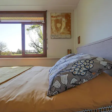 Villa Green Oak Windows & Wood *