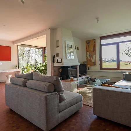 Green Oak Windows & Wood Albi