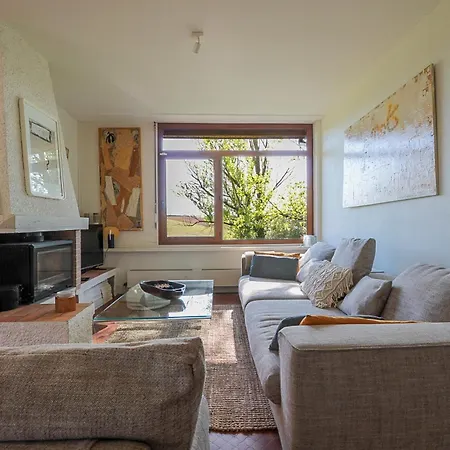 Oak Windows & Wood Vila *