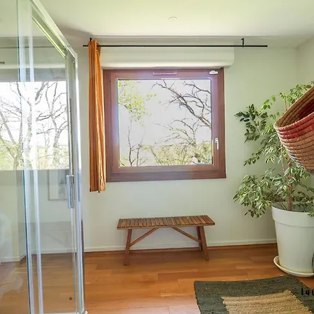 Green Oak Windows & Wood Albi