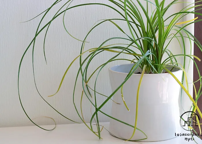 Oak Windows & Wood Βίλα Αλμπί