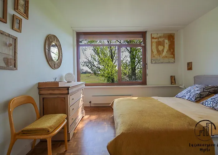 Oak Windows & Wood Αλμπί